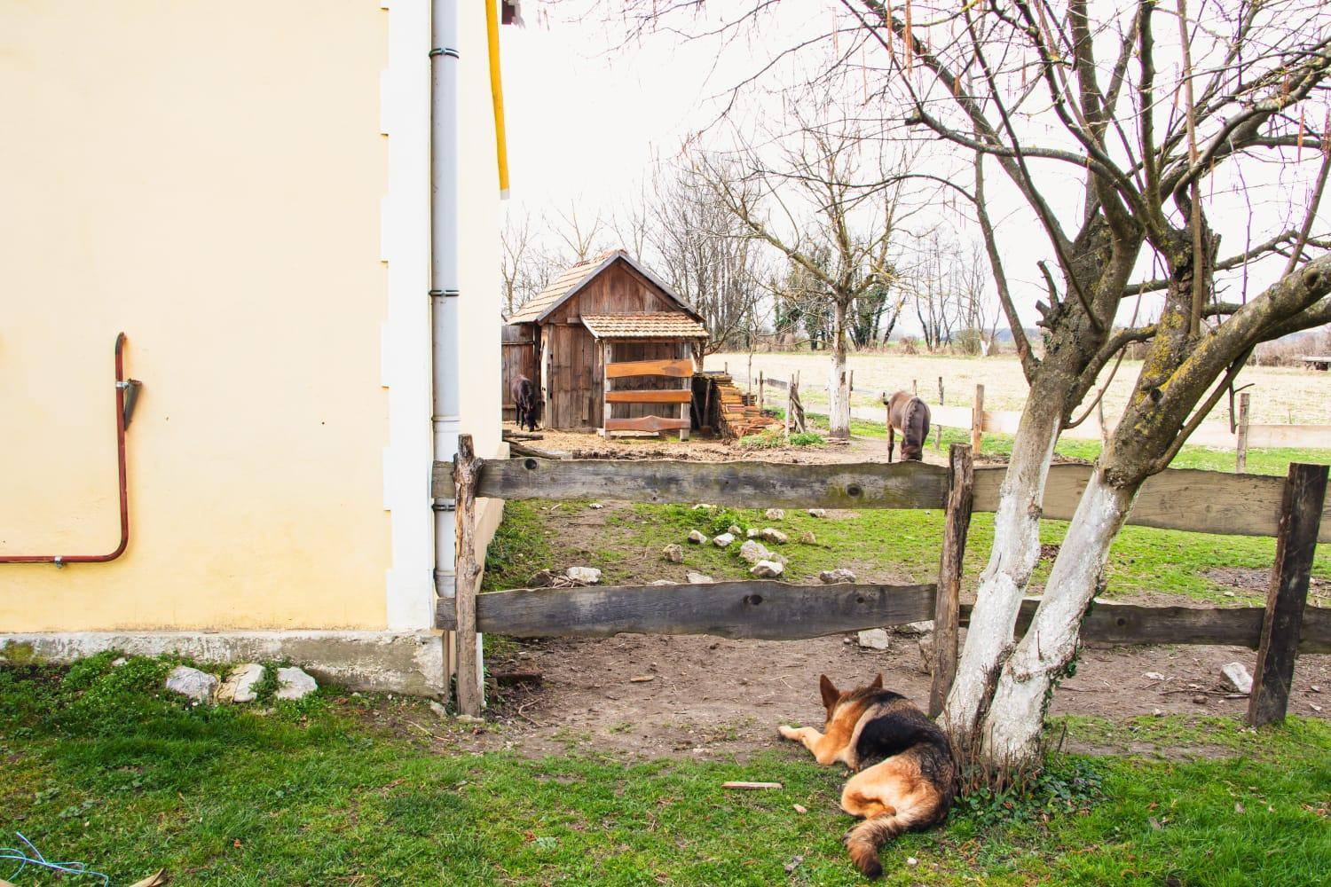 Country House Ivancan Molve Exteriér fotografie
